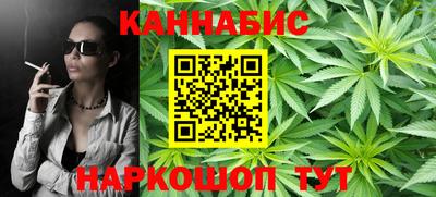 сатива Аргун