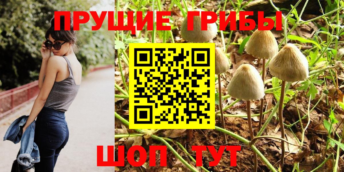 Галлюциногенные грибы GOLDEN TEACHER  Псилоцибиновые грибы мицелий  Вход с VPN  Артём 